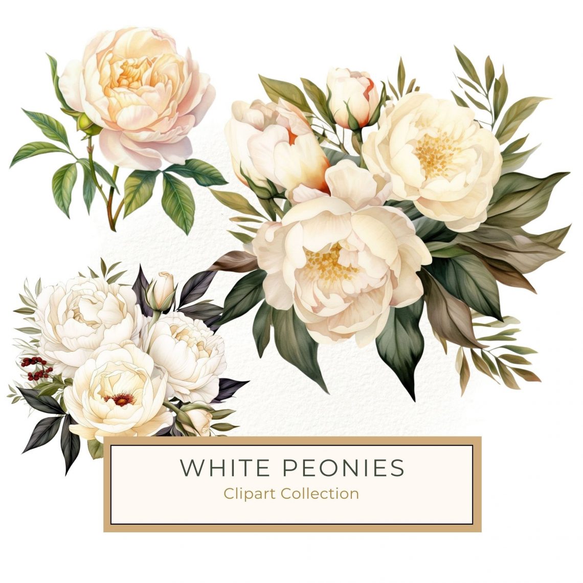 Elegant White Peony Bouquet Watercolor Clipart for DIY Crafts, Watercolor Peony Clipart, White Flower Bouquet, Wedding Invitation Graphics, DIY Scrapbook Florals, Elegant Floral Printables,1542873852